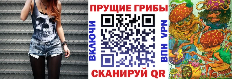 Купить  Богородицк  Псилоцибиновые грибы мицелий 