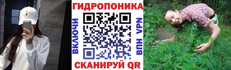 Купить закладки Богородицк МАРИХУАНА THC 21%